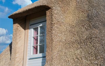 Portrack thatch roof disadvantages