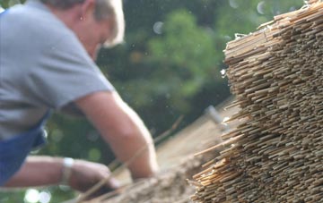 professional Portrack thatchers